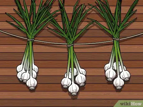 Imagem intitulada Braid Garlic Step 10