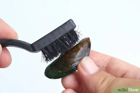 Imagem intitulada Store Mussels Step 7