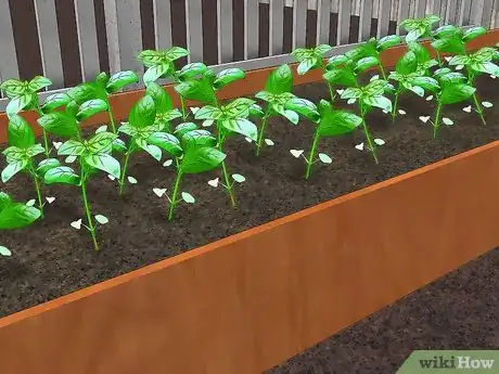 Imagem intitulada Build Raised Vegetable Garden Boxes Step 8