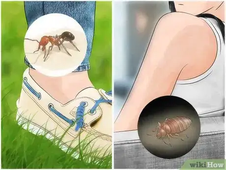 Imagem intitulada Identify Insect Bites Step 1