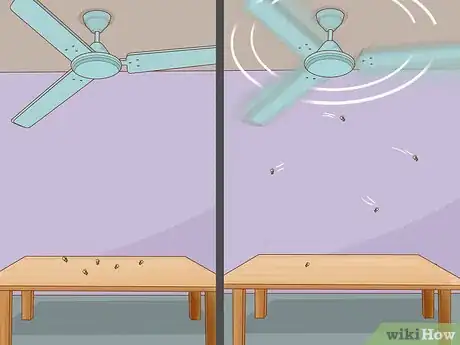 Imagem intitulada Get Rid of Flies Step 9