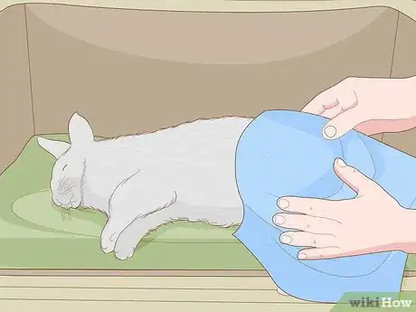 Imagem intitulada Care for an Injured Rabbit Step 6