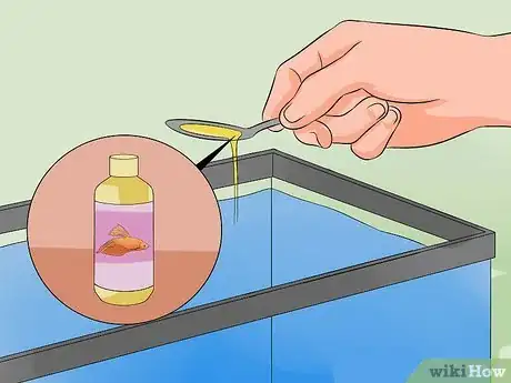 Imagem intitulada Save a Dying Betta Fish Step 15