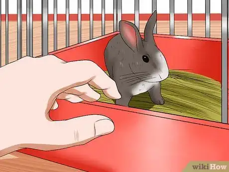 Imagem intitulada Tame Your Rabbit Step 2