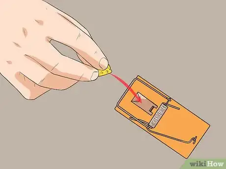 Imagem intitulada Catch a Mouse Step 3