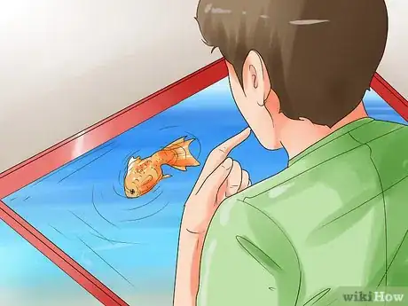 Imagem intitulada Humanely Kill a Fish Step 11