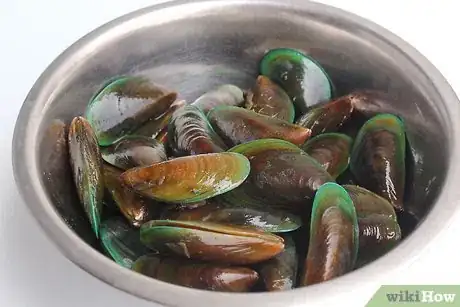 Imagem intitulada Store Mussels Step 1