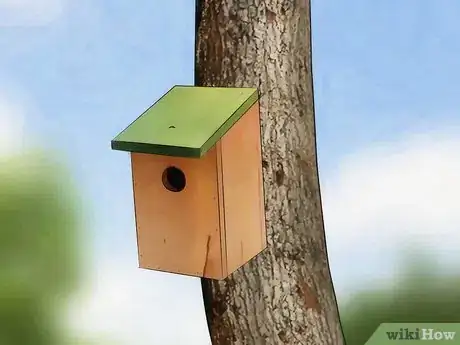 Imagem intitulada Attract Birds Step 9