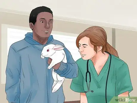 Imagem intitulada Breed Rabbits Step 6