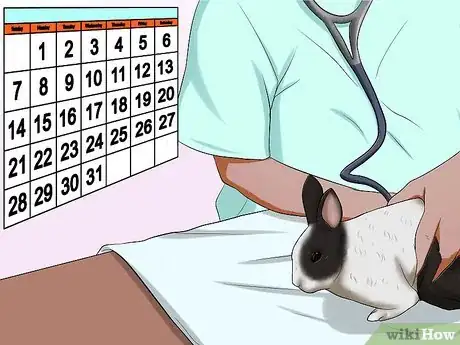Imagem intitulada Care for Dutch Rabbits Step 15