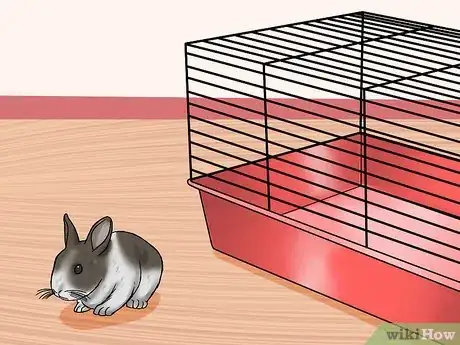 Imagem intitulada Care for Dutch Rabbits Step 17