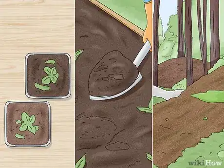 Imagem intitulada Prevent Trichoderma Step 2