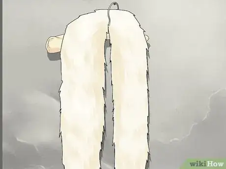 Imagem intitulada Clean Fur Step 11