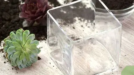 Imagem intitulada Make a Terrarium Step 3