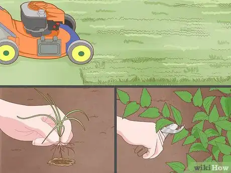 Imagem intitulada Get Rid of Chiggers Step 1
