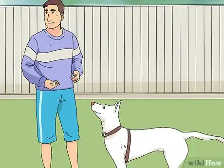 Imagem intitulada Train a Dog Step 38