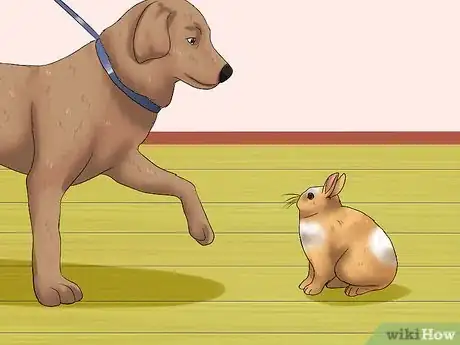 Imagem intitulada Introduce a Dog and a Rabbit Step 10