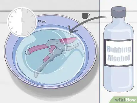 Imagem intitulada Prune Orchids Step 5