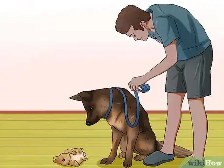 Imagem intitulada Introduce a Dog and a Rabbit Step 14