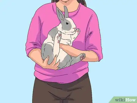 Imagem intitulada Pick up a Rabbit Step 5