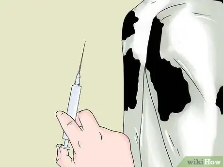 Imagem intitulada Inject Cattle Step 4