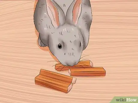 Imagem intitulada Calm a Rabbit Step 6