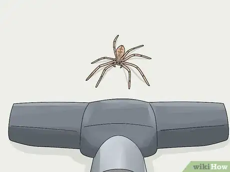 Imagem intitulada Kill Spiders from a Distance Step 1