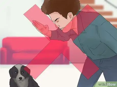 Imagem intitulada Train Border Collies Step 25