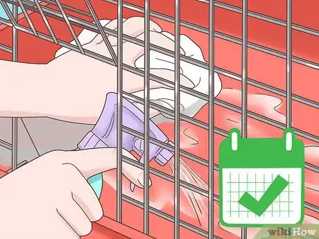 Imagem intitulada Treat Diarrhea in Rabbits Step 15
