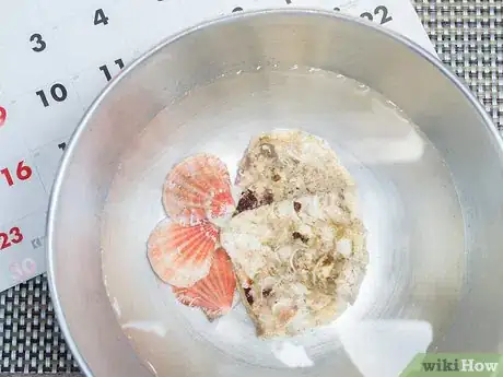 Imagem intitulada Clean and Polish Seashells Step 7