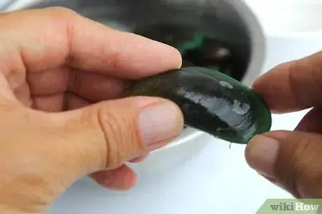 Imagem intitulada Store Mussels Step 6