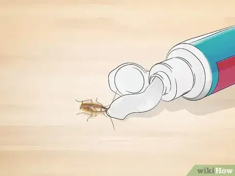 Imagem intitulada Identify a Cockroach Step 14