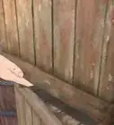 Eliminar o Odor de um Animal Morto