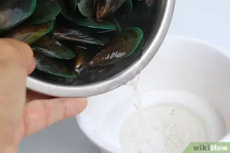 Imagem intitulada Store Mussels Step 4