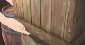 Eliminar o Odor de um Animal Morto