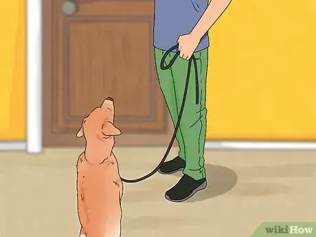 Imagem intitulada Train a Dog Step 56