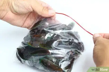Imagem intitulada Store Mussels Step 8