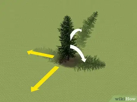 Imagem intitulada Remove a Tree Step 4