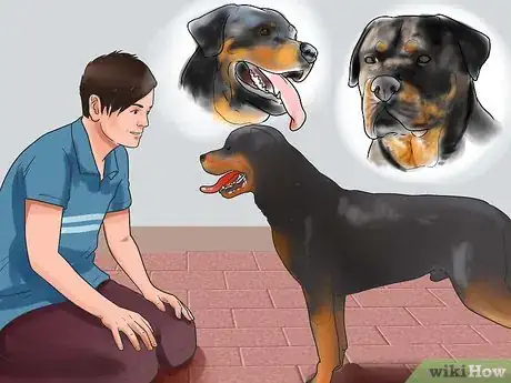 Imagem intitulada Train a Rottweiler Step 2