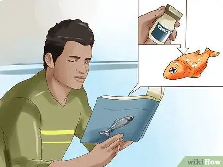 Imagem intitulada Humanely Kill a Fish Step 5