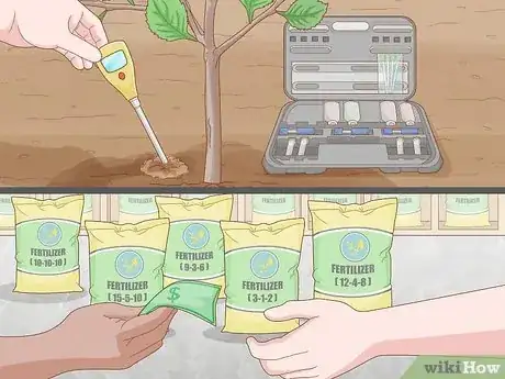 Imagem intitulada Fertilize an Apple Tree Step 4