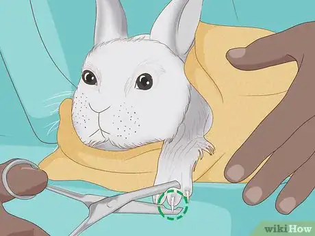 Imagem intitulada Care for Dwarf Rabbits Step 18