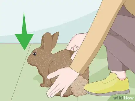 Imagem intitulada Care for Dwarf Rabbits Step 14