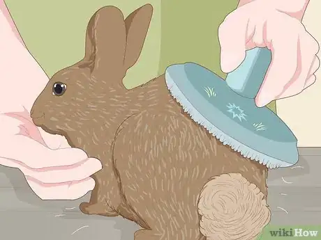 Imagem intitulada Care for Dwarf Rabbits Step 16
