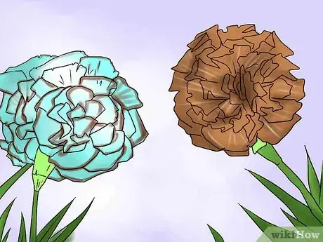Imagem intitulada Help Carnations Make a Comeback Step 1