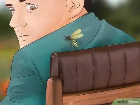 Imagem intitulada Identify Insect Bites Step 8