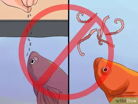 Imagem intitulada Save a Dying Betta Fish Step 27