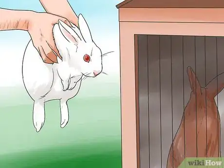 Imagem intitulada Breed Rabbits Step 7