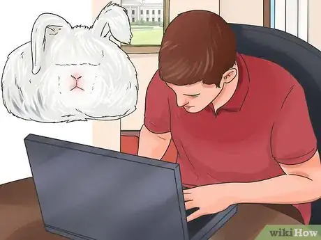 Imagem intitulada Breed Rabbits Step 2
