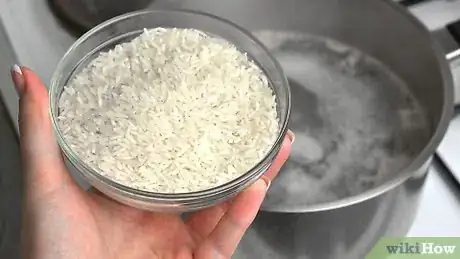 Imagem intitulada Prepare Chicken and Rice for Dogs Step 9